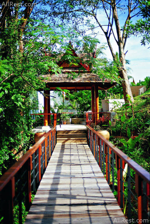 Treetops Arasia Resort 6
